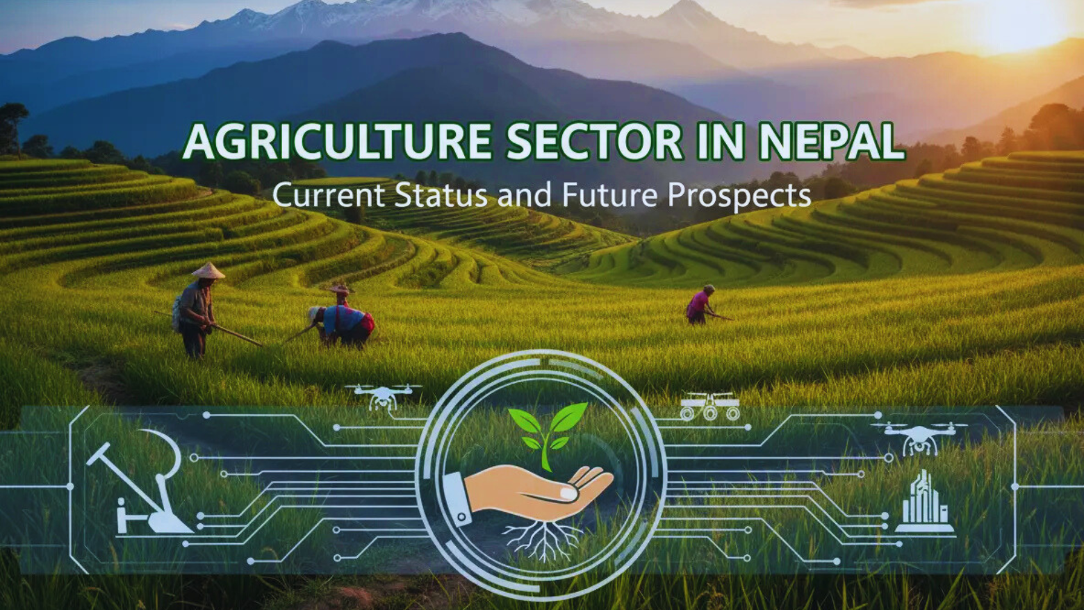 Agriculture Sector in Nepal: Current Status and Future Prospects | Nepinsights